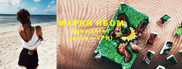 mdpv Бородино