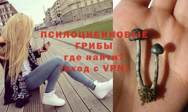 мет Бронницы