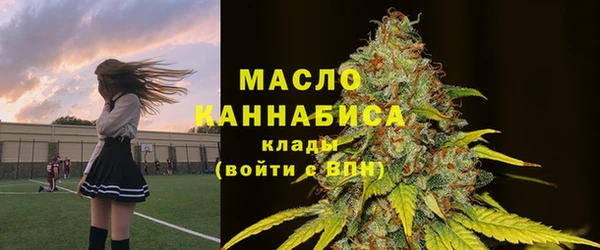 mdpv Бородино