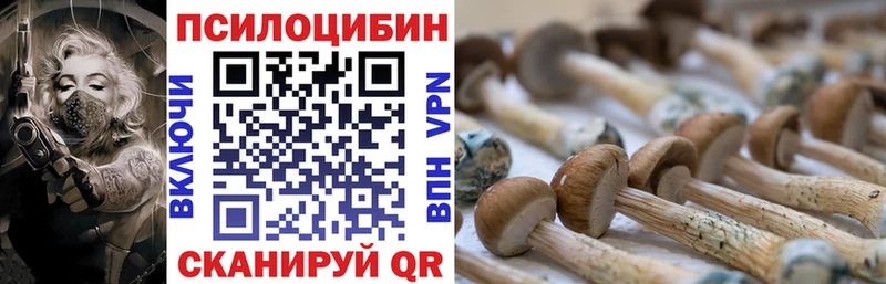 Галлюциногенные грибы ЛСД Дигора
